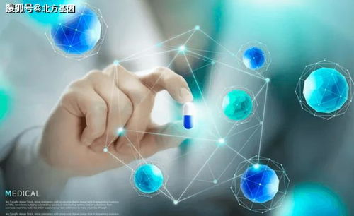 北方基因大健康 信息化时代大健康产业的变革与健康信息咨询新生态